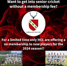 Image result for Hollingworth Cricket Club