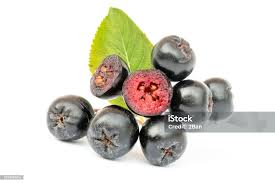 Attēlu rezultāti vaicājumam “Aronia melanocarpa leaf”