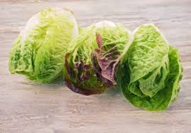 Image result for Römischer Salat