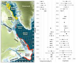 Image result for Amblyraja hyperborea