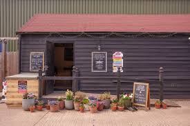 Image result for Loddon Vale Bridge Club