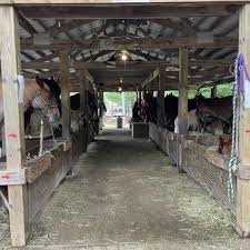 Image result for Cliff Hatch Stables