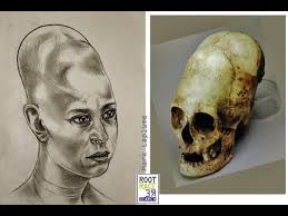 Image result for elongated skulls