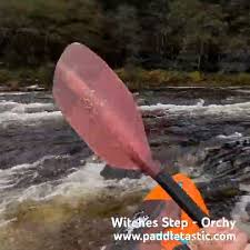 Image result for Paddletastic