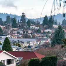 Image result for Hazel Grove