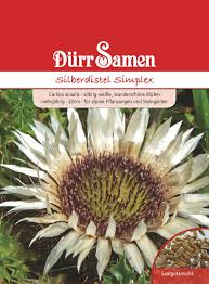 Image result for Silberdistel