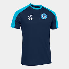 Image result for Haverfordwest Cricket Club