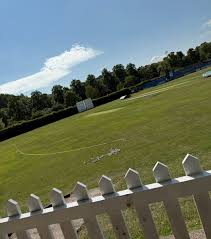 Image result for Matlock Cricket Club