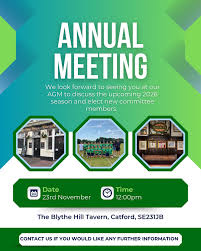 Image result for Green Isle Camogie Club - Players Wanted!