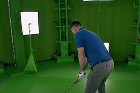 Image result for Harlequin Gc