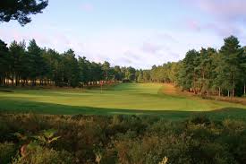 Image result for Hankley Common Golf Club
