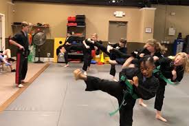 Image result for Kenpo Karate Club