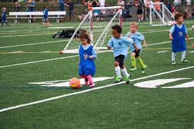 Image result for Milford Green Football Club