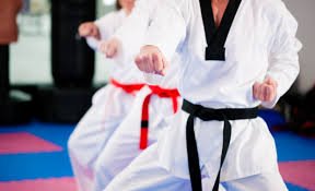 Image result for COURT FIELDS karate Academy