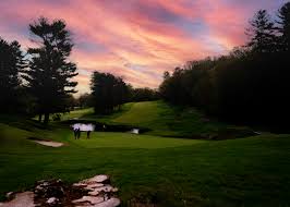 Image result for Bellingham Golf Club