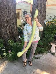 Image result for tromboncino