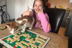 Image result for Tameside Scrabble Club