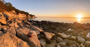 Image result for stevns klint