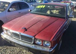 Image result for Bright Red Signal 1988 Jaguar