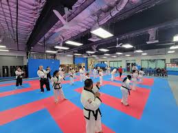 Image result for Valentin Karate