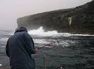 Pollack are the dominant species of fish in this area and there are plenty - via Daymix