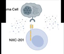 「 N   X ^   { [ C」の画像検索結果