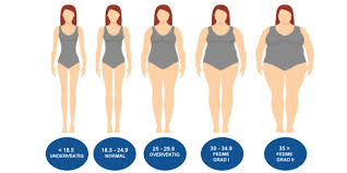 Bildresultat för bmi-tabell