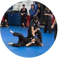 Image result for Elite Force Martial Arts Fort Lauderdale