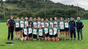 Image result for Clann Na Ngael