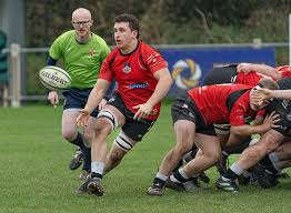 Image result for Ards Rugby Football Club