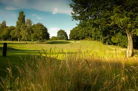Image result for Surbiton Golf Club