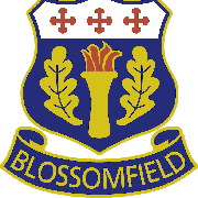 Image result for Solihull Cc