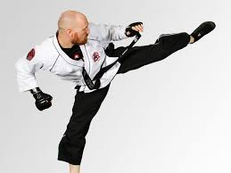 Image result for Springwood Karate