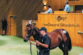 Image result for Bletchingly Badminton Club