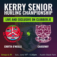 Image result for Causeway Hurling Club