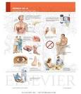 <b>Diabetes Mellitus Tipo 2</b>