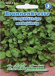Image result for Brunnenkresse