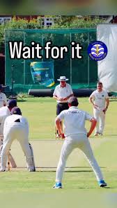 Image result for Horley Cricket Club