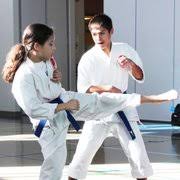 Image result for Excalibur Shotokan Karate Club