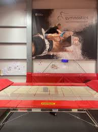 Image result for Colchester School Of Gymnastics