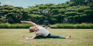 Image result for Hatha Yoga Club