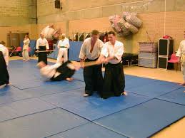 Image result for Bakewell Aikido Club