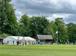 Image result for Saffron Walden Cricket Club
