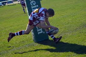 Image result for Lymm Rugby Union Football Club