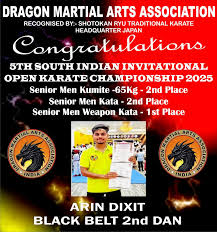 Image result for Dragon Martial Arts Association