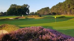 Image result for Prudhoe Golf Club