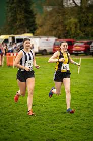 Image result for Calderglen Harriers