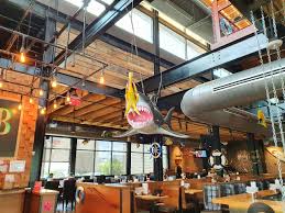 Image result for Kingsbridge Krays Octopush Club