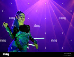 Image result for Karin Dreijer Andersson