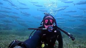 Image result for Tornado Divers